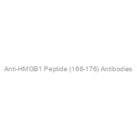 Anti-HMGB1 Peptide (166-176) Antibodies